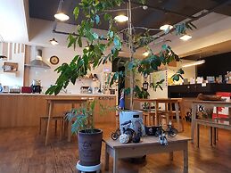 Sokcho & Guesthouse