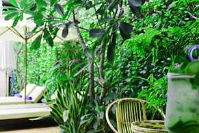Home Chic Hotel