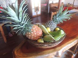 Duna Lodge