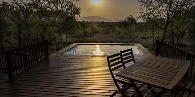 Lion Tree Top Lodge