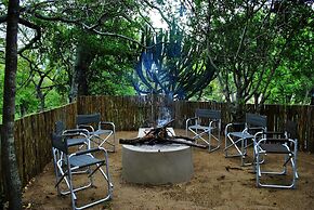Lion Tree Top Lodge