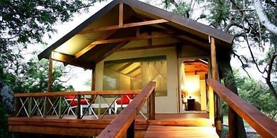 Lion Tree Top Lodge