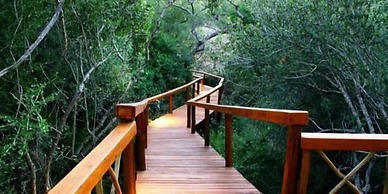 Lion Tree Top Lodge