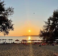 Pal Beach