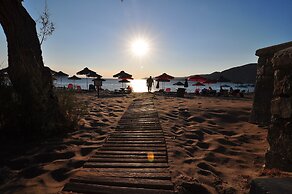 Pal Beach