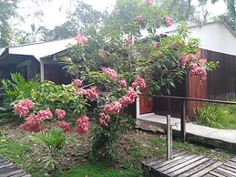 Ceiba Tops Lodge
