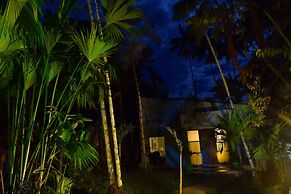 Ceiba Tops Lodge