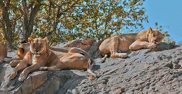Hobatere Lodge