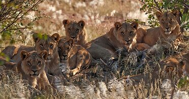 Hobatere Lodge