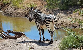 Hobatere Lodge