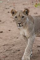 Hobatere Lodge