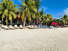 Coconut Tree West Bay