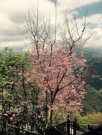 Spring Ground B&B