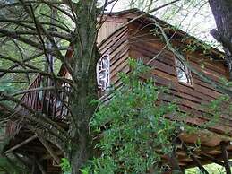 Sycamore Avenue Treehouses