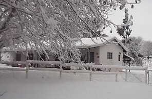 Sycamore Avenue Treehouses
