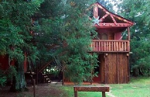 Sycamore Avenue Treehouses