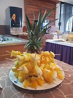 Hotel Lipa