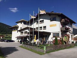 Alpenstern Lermoos