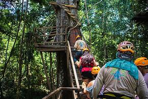 Avatar Amazon Lodge & Canopy Park