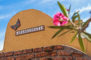 Apassionata Tango Hotel