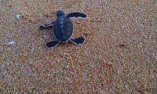 Ananthaya Beach