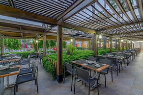 Trendy Palm Beach (Adults Only, 16+)