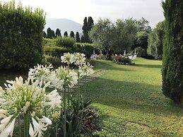Villa Del Papa