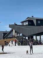 Pellestova Hotell Hafjell