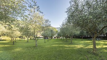 Agriturismo Ca' del Lago