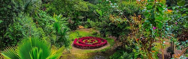 Lakshmi Ecolodge and Holistic Spa