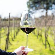 Resort & Winery Bosco De Medici