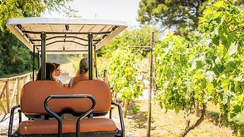 Resort & Winery Bosco De Medici