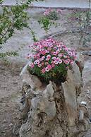 Floralia