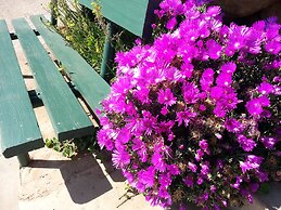 Agterplaas Guesthouse B&B