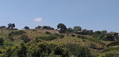Agterplaas Guesthouse B&B