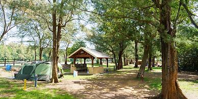 Nature Miraikan