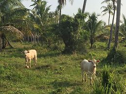 155 SalaCoco