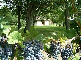 Domaine Maison DoDo