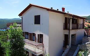 House Helis