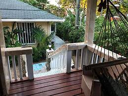 Coconut Tree West End