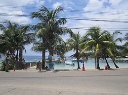 Coconut Tree West End