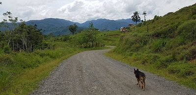 Pacuare River Lodge