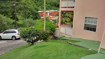 Bougainvillea Apartments
