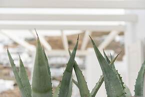 Cova Mykonos Suites