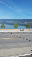 Shoreline Resort