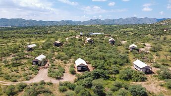 Windhoek Game Camp