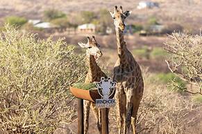 Windhoek Game Camp