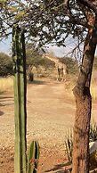 Windhoek Game Camp
