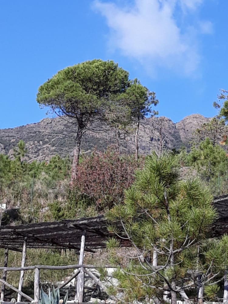 La Madonetta - Dimora d'epoca -