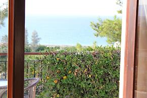 Villa Knossos